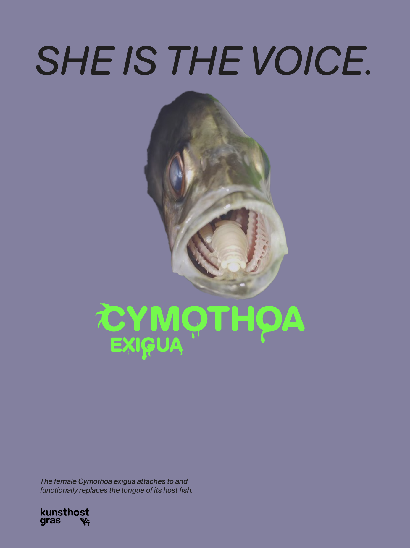 cymothoa