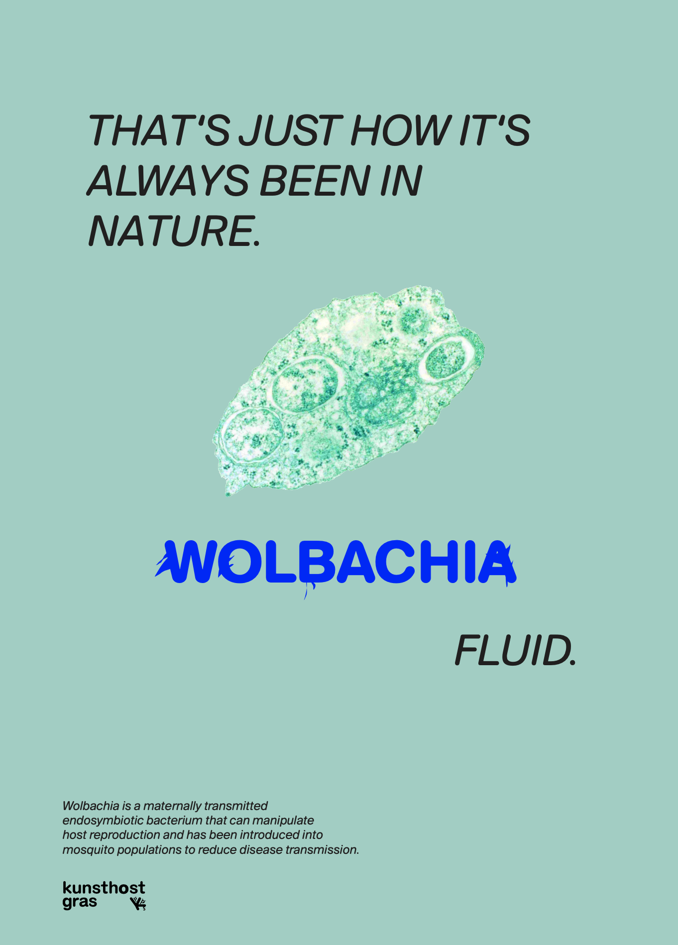 wolbachia
